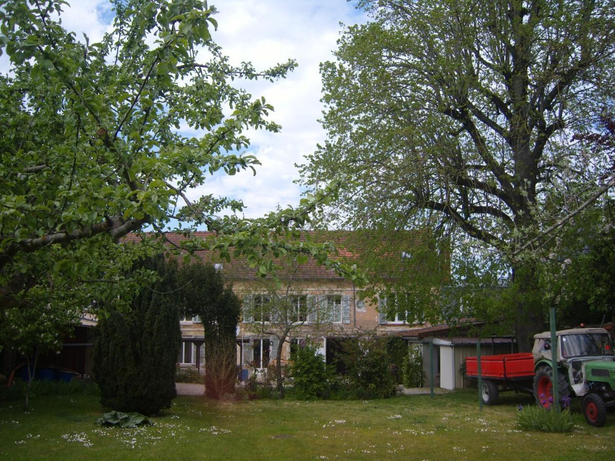 Du Vieux Tilleul Homestay *