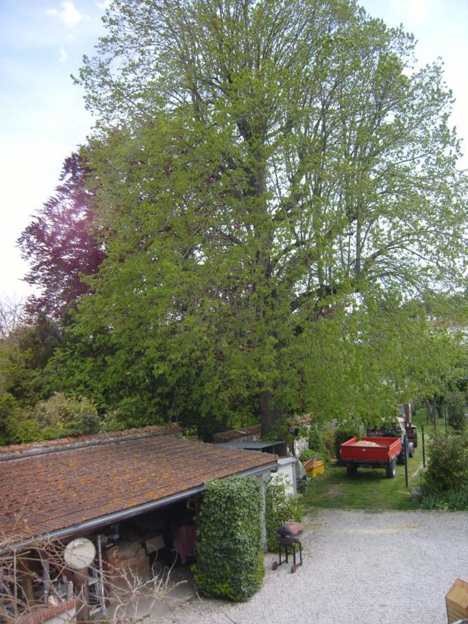 Homestay Du Vieux Tilleul *
